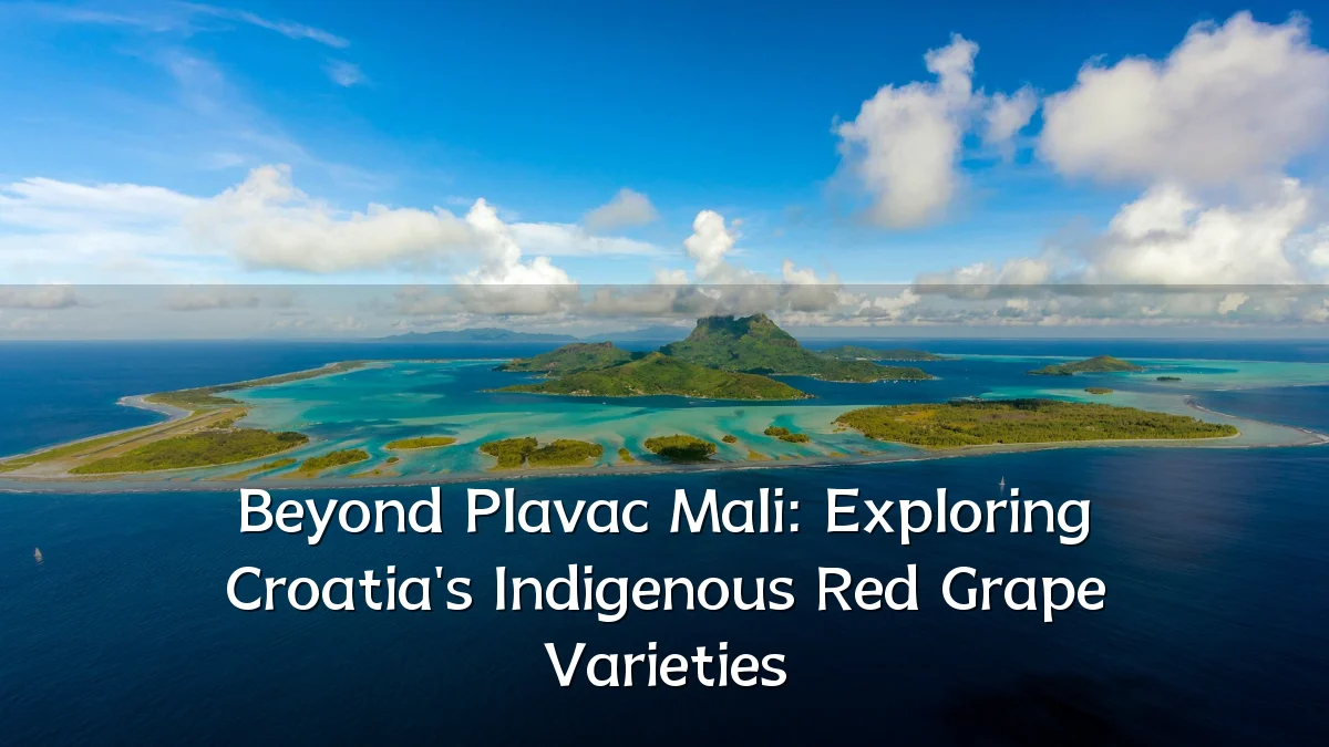 Beyond Plavac Mali: Exploring Croatia's Indigenous Red Grape Varieties