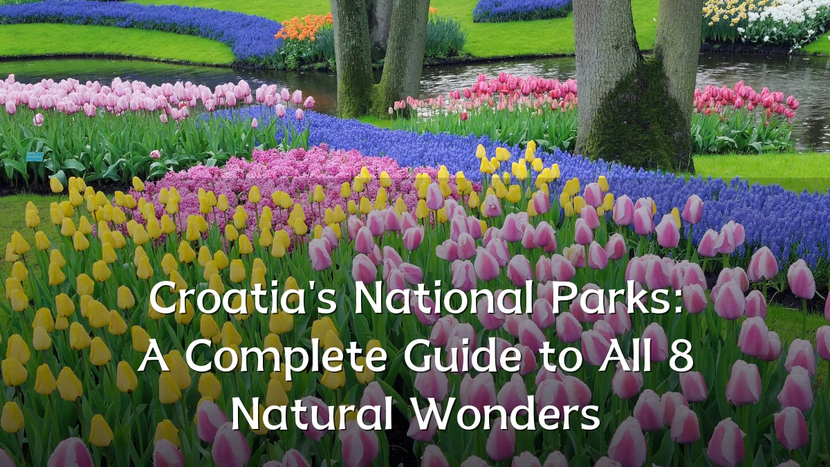 Croatia's National Parks: A Complete Guide to All 8 Natural Wonders