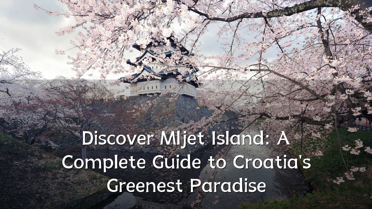 Discover Mljet Island: A Complete Guide to Croatia's Greenest Paradise