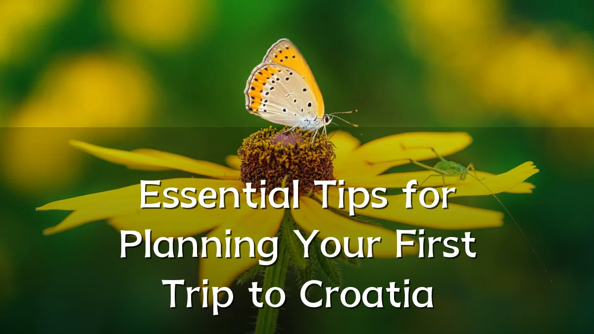Essential Tips for Planning Your First Trip to Croatia
