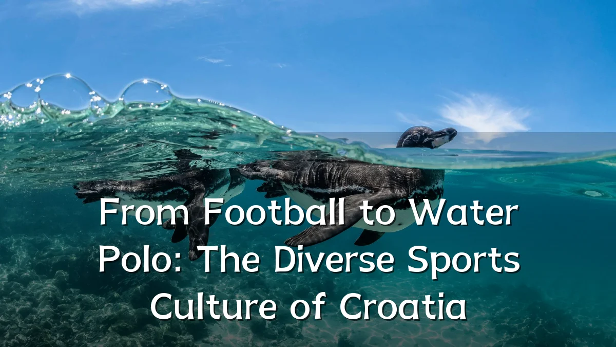 From Football to Water Polo: The Diverse Sports Culture of Croatia