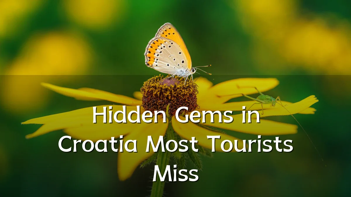 Hidden Gems in Croatia Most Tourists Miss