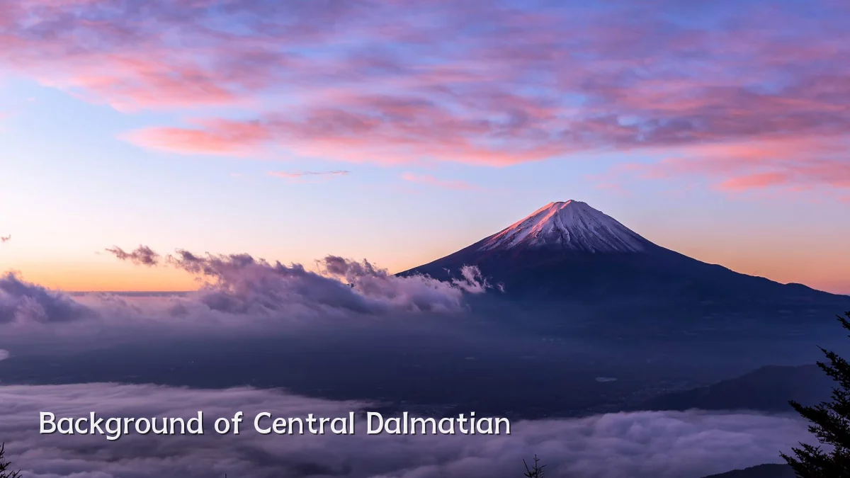 Background of Central Dalmatian