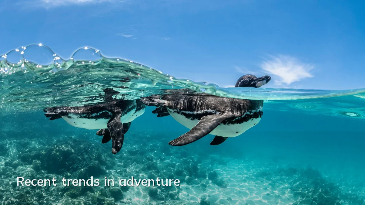 Recent trends in adventure
