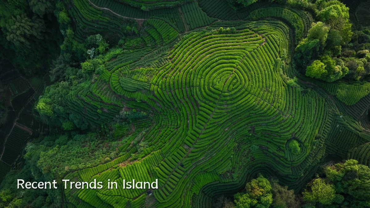 Recent Trends in Island