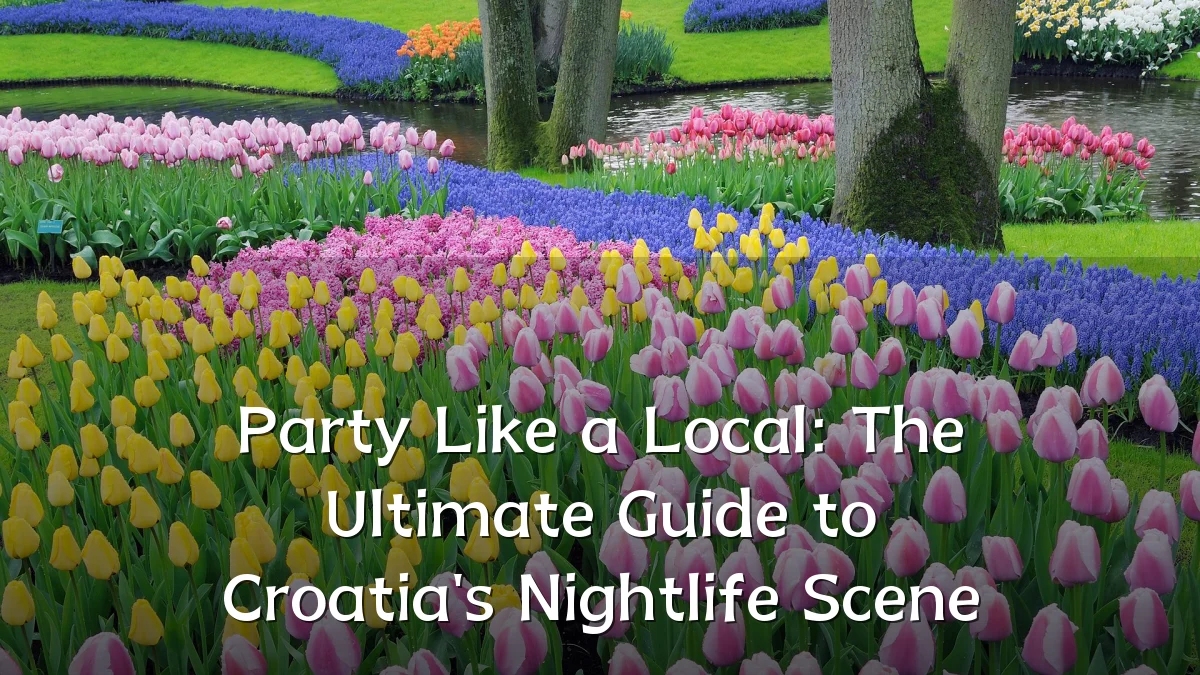 Party Like a Local: The Ultimate Guide to Croatia's Nightlife Scene